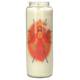 Noveenkaars in glas / wit / Verrezen Christus 