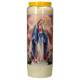 Neuvaine / blanc / Vierge Miraculeuse Immaculée conception