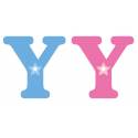 Letter y x2pcs. Hoogte 5,5 cm 