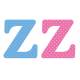 Letter z x2pcs. Hoogte 5,5 cm 