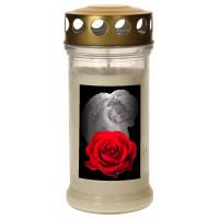 Veilleuse de cimetière en verre avec couvercle doré - Blanc - Ange avec rose - 10 pièces / carton