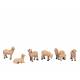 Set van 6 schapen voor figuren van 12 Cm 