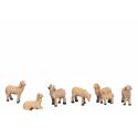 Set de 6 moutons pour figures de 12 Cm
