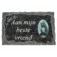 Plaque Cimetiere Aan Mijn Beste Vriend 9x14