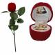 Ecrin / Rose sur tige / Ste Rita