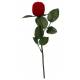 Ecrin / Rose sur tige / Ste Rita