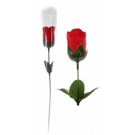 Rose sur Tige + Cello - Sans Adhésif