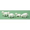 Mouton 4 Cm X 3 Cm Pr Creche 12 Cm