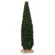 Provencaalse decor Cipres H 15 cm 