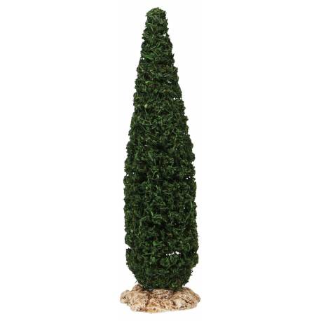Provencaalse decor Cipres H 15 cm 