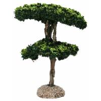 Provencaalse decor Maritieme pijnboom 