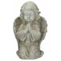 Ange Priant 23.5 cm