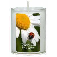 Bougie de circonstance 65 x 50 mm - Plein de bonheur