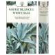 Bâtons d'encens naturels Sauge blanche