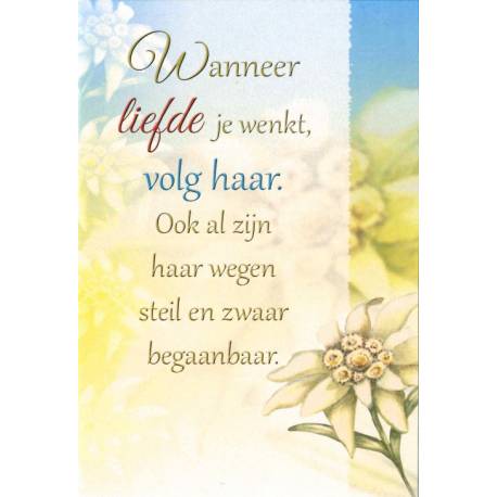 Carte Double + Env - Wanneer liefde ...