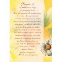 Carte Double + Env - Psaume 23