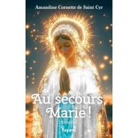 Au secours, Marie ! - Lourdes 