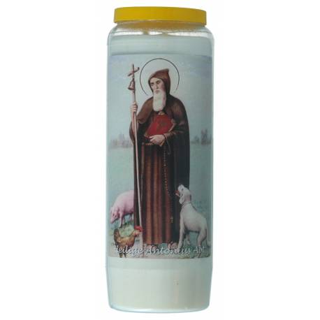 Neuvaine / blanc / St Antoine Abate + Texte NL