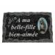 Plaque Cimetiere A Ma Belle-Fille Bien-Aimee 9x14