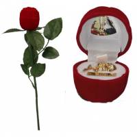 Ecrin / Rose sur tige / Ste Rita