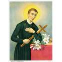 Poster 19 X 26 Cm St Gerard S/papier