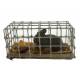 Santon Napolitain 08 Cm Cage Avec Lapin 4.3X2.2X2cm