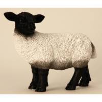Mouton 31 Cm Noir