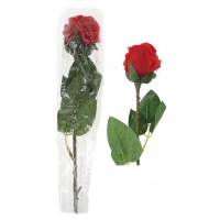 Rose s/tige Grd Modèle + Cello+ Adhésif Ste Rita M-A-Pont