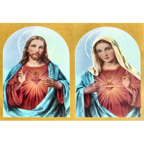 Poster 20 X 25 cm H. Hart van Jezus en Maria 