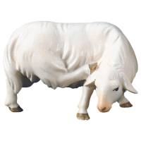 Mouton qui se gratte : crèche de Noël en bois Komet 12 cm