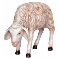 Agneau avec tête vèrs le bas 52x60 cm pour crèche de 160 cm