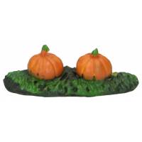 Streep van pompoenen 