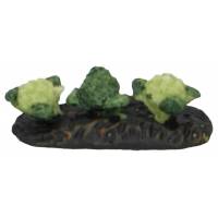 Streep van bloemkolen 