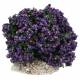 Décor pour santons de Provence Buisson lavande H 6 cm