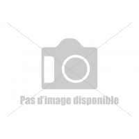 Statuette Willow Tree : Fille Avec Coeur 13.5 Cm - Keepsake darker skin