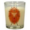 Bougie pascale 65 x 50 mm Saint Esprit