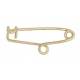 Speld - Metaal Verguld 