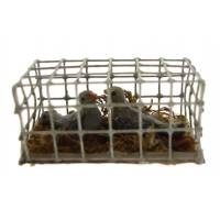 Santon Napolitain 08 Cm Cage Avec Pigeons 4.3X2.2X2cm