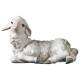 Agneau Couche 10 Cm Couleur