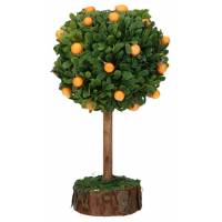 Sinaasappelboom 12 Cm 