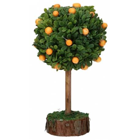 Sinaasappelboom 12 Cm 