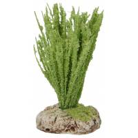 Décor pour santons de Provence Roseaux